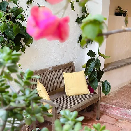 Edera House Guest house Palermo